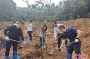 广饶广州已打造首批32处“绿美宗教活动场所”