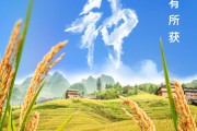 广饶芒种节气小知识来了 夏种作物都有什么？