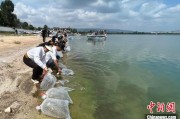 广饶云南江川举行增殖放流活动 逾54万尾鱼游入星云湖